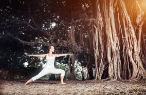 Yoga near banyan tree