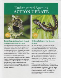 OntarioNatureActionUpdate1